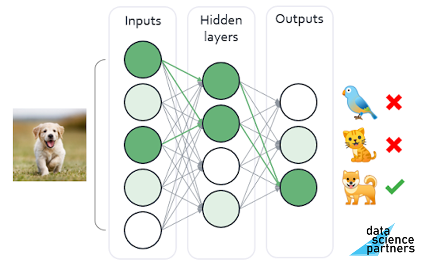 neural network neuraal netwerk voorbeeld