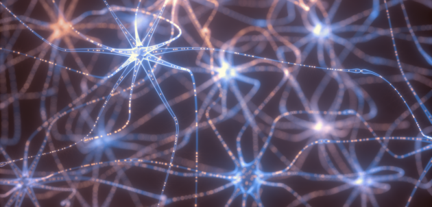 neural networks en deep learning